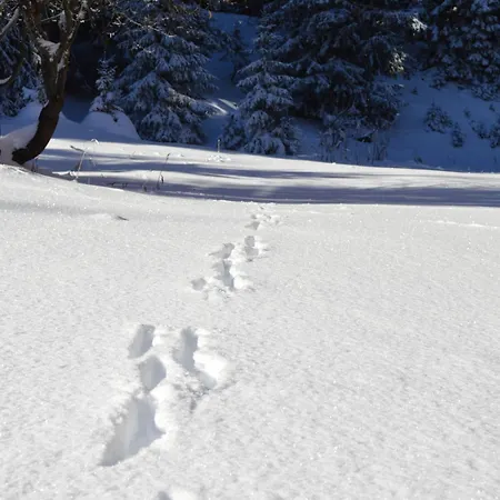 Rénové à 1850, Skis Aux Pieds, 4 Pers, Parking Inclus - Fr-1-575-247