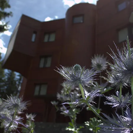 Renove A 1850, Skis Aux Pieds, 4 Pers, Parking Inclus - Fr-1-575-247 Апартаменти Куршавель