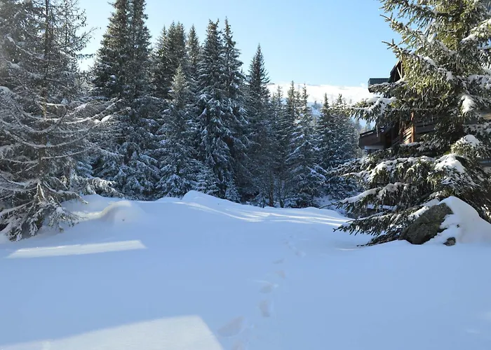 Renove A 1850, Skis Aux Pieds, 4 Pers, Parking Inclus - Fr-1-575-247 谷雪维尔