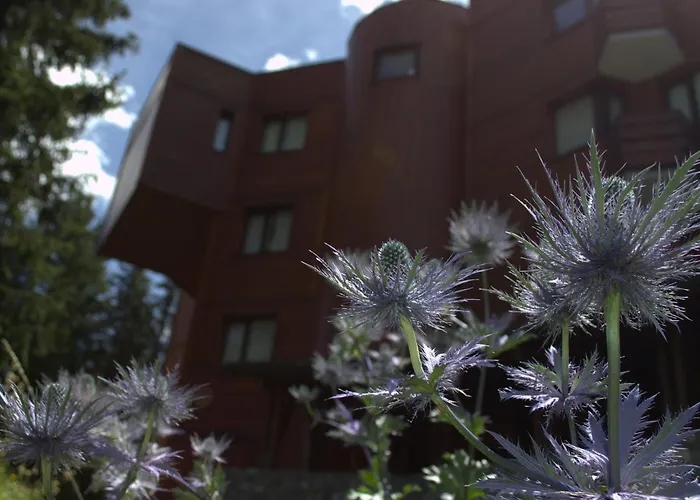 Renove A 1850, Skis Aux Pieds, 4 Pers, Parking Inclus - Fr-1-575-247 公寓 谷雪维尔