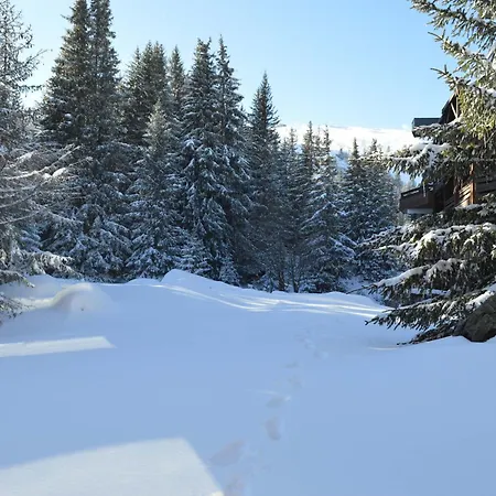 Renove A 1850, Skis Aux Pieds, 4 Pers, Parking Inclus - Fr-1-575-247 קורשבל