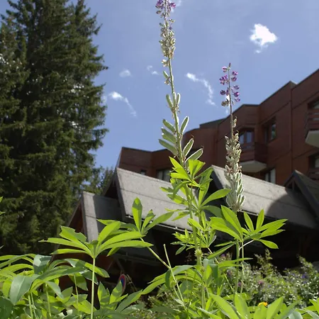 Renove A 1850, Skis Aux Pieds, 4 Pers, Parking Inclus - Fr-1-575-247 Apartment