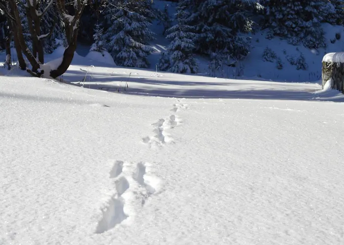 Renove A 1850, Skis Aux Pieds, 4 Pers, Parking Inclus - Fr-1-575-247