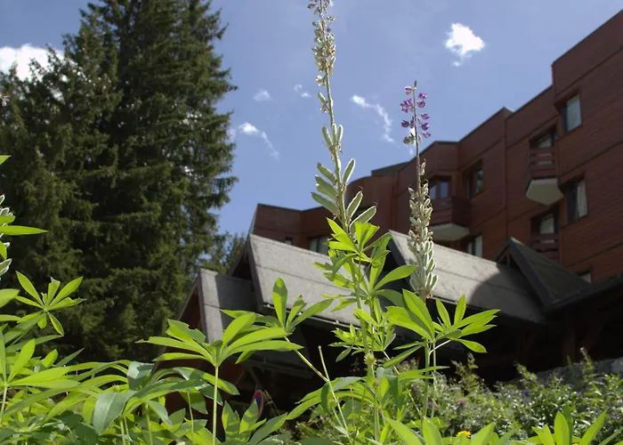 דירה Renove A 1850, Skis Aux Pieds, 4 Pers, Parking Inclus - Fr-1-575-247 קורשבל